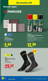 Lidl gazetka tydzień 41 Strona 42
