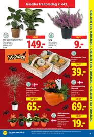 Lidl tilbudsavis Side 9