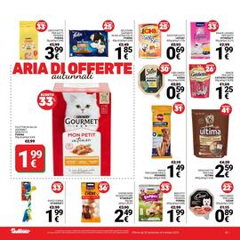 Volantino Supermercati Gulliver Pagina 21