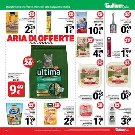 Volantino Supermercati Gulliver Pagina 38