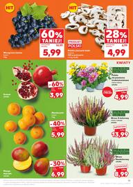 Kaufland gazetka tydzień 40 Strona 19