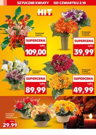 Kaufland gazetka tydzień 40 Strona 14
