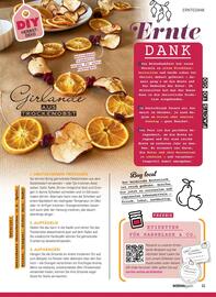 Normagazin Seite 11