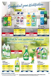 METRO Prospekt woche 41 Seite 13
