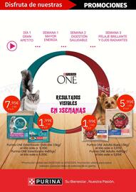 Folleto Maskom Supermercados Página 15