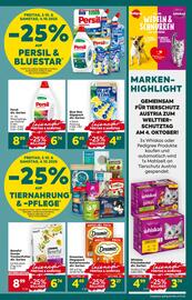 Billa Flugblatt woche 40 Seite 3