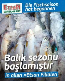 ETSAN Flugblatt Seite 2