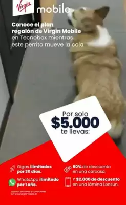 Catálogo Virgin Mobile (válido hasta 13-10)