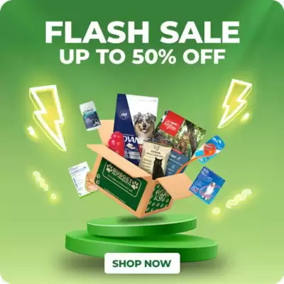 Budget Pet Products catalogue (valid until 14-10)