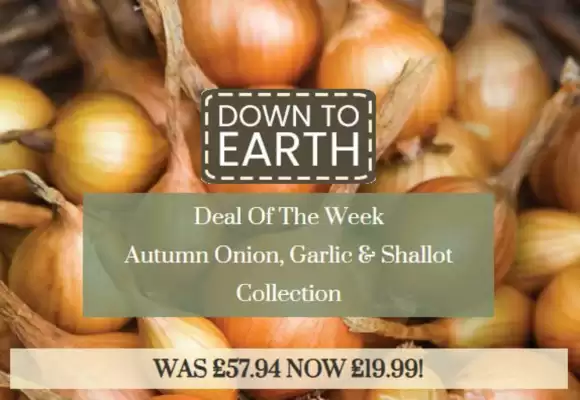 Dobbies catalogue (valid until 22-10)