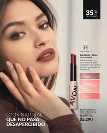 Catálogo Avon Página 41