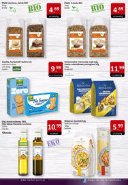Market Point gazetka Strona 13
