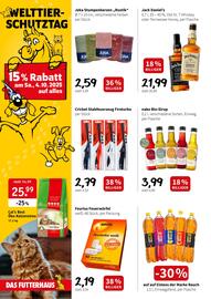 Der Grissemann Flugblatt woche 40 Seite 8