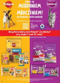 Dino gazetka tydzień 40 Strona 62
