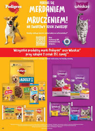Dino gazetka tydzień 40 Strona 62