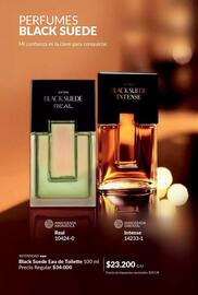 Catálogo Avon Página 69