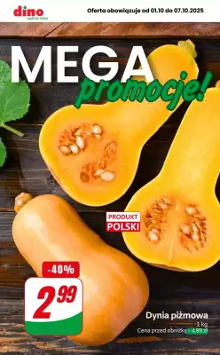 Dino gazetka (ważność do 7-10)