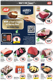 IGA catalogue week 40 Page 13