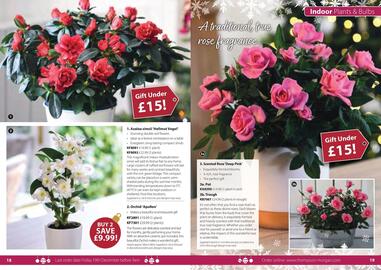 Thompson & Morgan catalogue Page 12