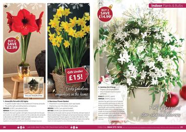 Thompson & Morgan catalogue Page 13