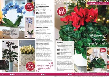Thompson & Morgan catalogue Page 14