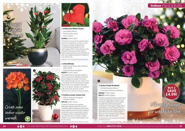 Thompson & Morgan catalogue Page 15