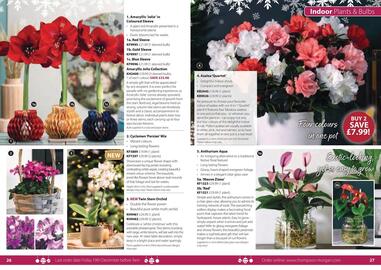 Thompson & Morgan catalogue Page 16