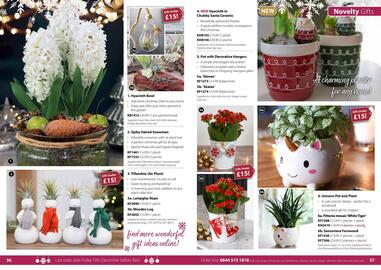 Thompson & Morgan catalogue Page 21