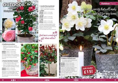 Thompson & Morgan catalogue Page 22