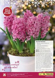 Thompson & Morgan catalogue Page 27
