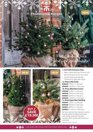 Thompson & Morgan catalogue Page 30
