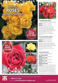 Thompson & Morgan catalogue Page 31