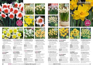 Thompson & Morgan catalogue Page 11