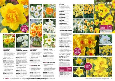 Thompson & Morgan catalogue Page 12