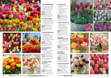 Thompson & Morgan catalogue Page 13