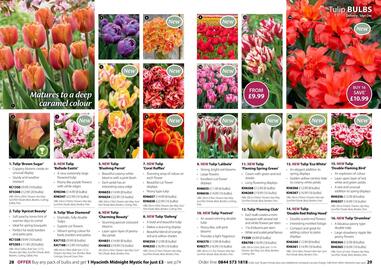 Thompson & Morgan catalogue Page 15