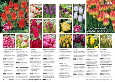 Thompson & Morgan catalogue Page 16