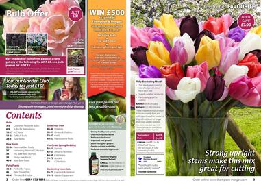 Thompson & Morgan catalogue Page 2