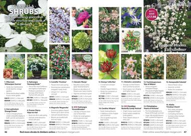 Thompson & Morgan catalogue Page 24