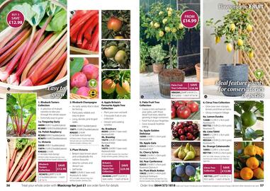 Thompson & Morgan catalogue Page 29
