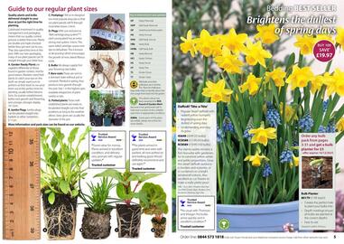 Thompson & Morgan catalogue Page 3
