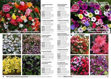 Thompson & Morgan catalogue Page 31