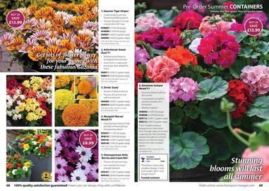 Thompson & Morgan catalogue Page 35
