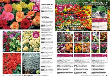 Thompson & Morgan catalogue Page 37