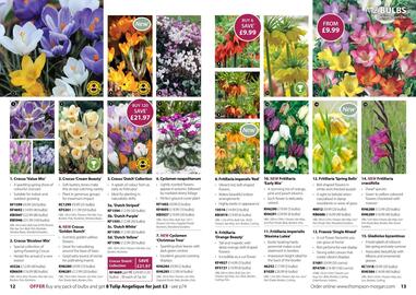 Thompson & Morgan catalogue Page 7