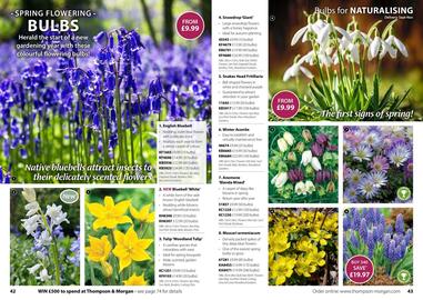 Thompson & Morgan catalogue Page 22