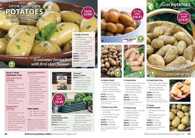 Thompson & Morgan catalogue Page 34