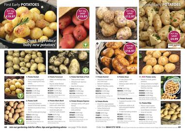 Thompson & Morgan catalogue Page 35