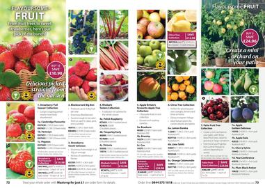 Thompson & Morgan catalogue Page 37