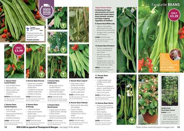 Thompson & Morgan catalogue Page 7